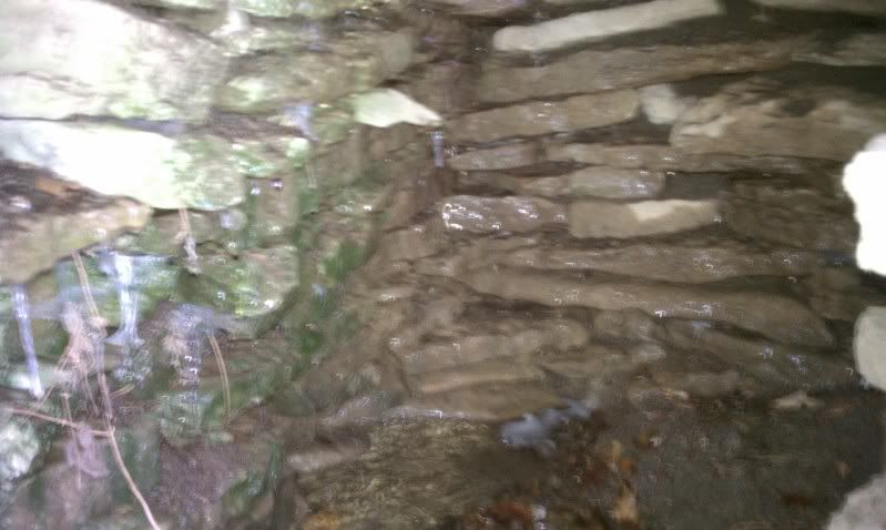 IMAG0381.jpg