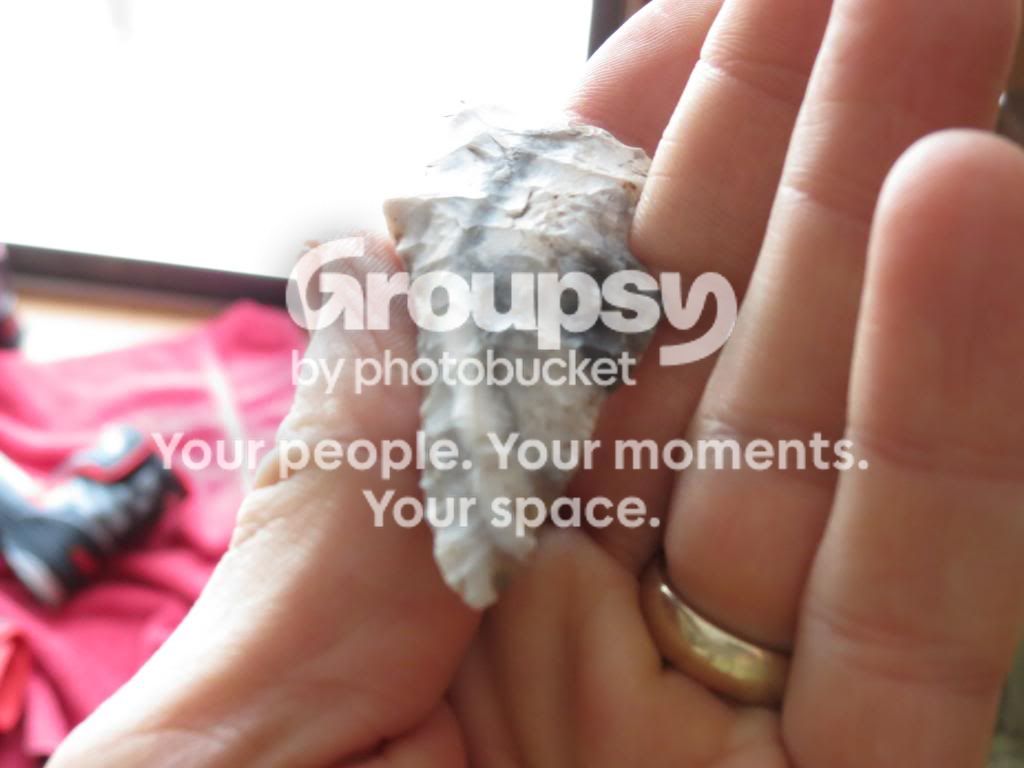 IMG_4149_zpsc9ac9bfd.jpg