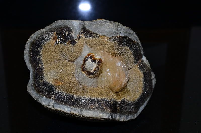 DSC_6328.jpg