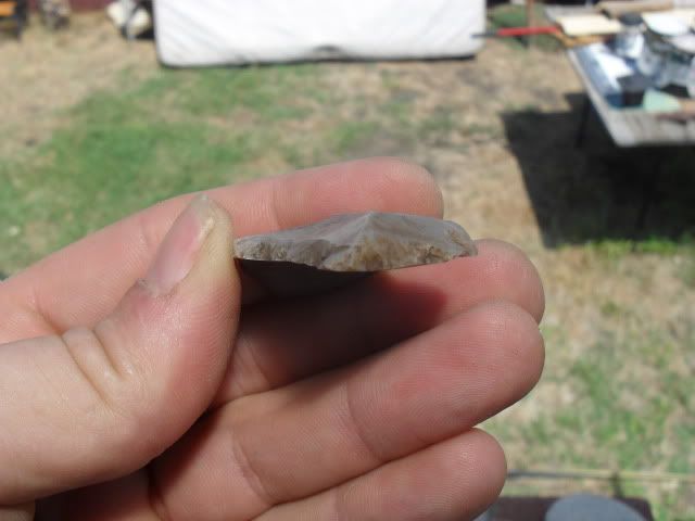 SDC10509.jpg