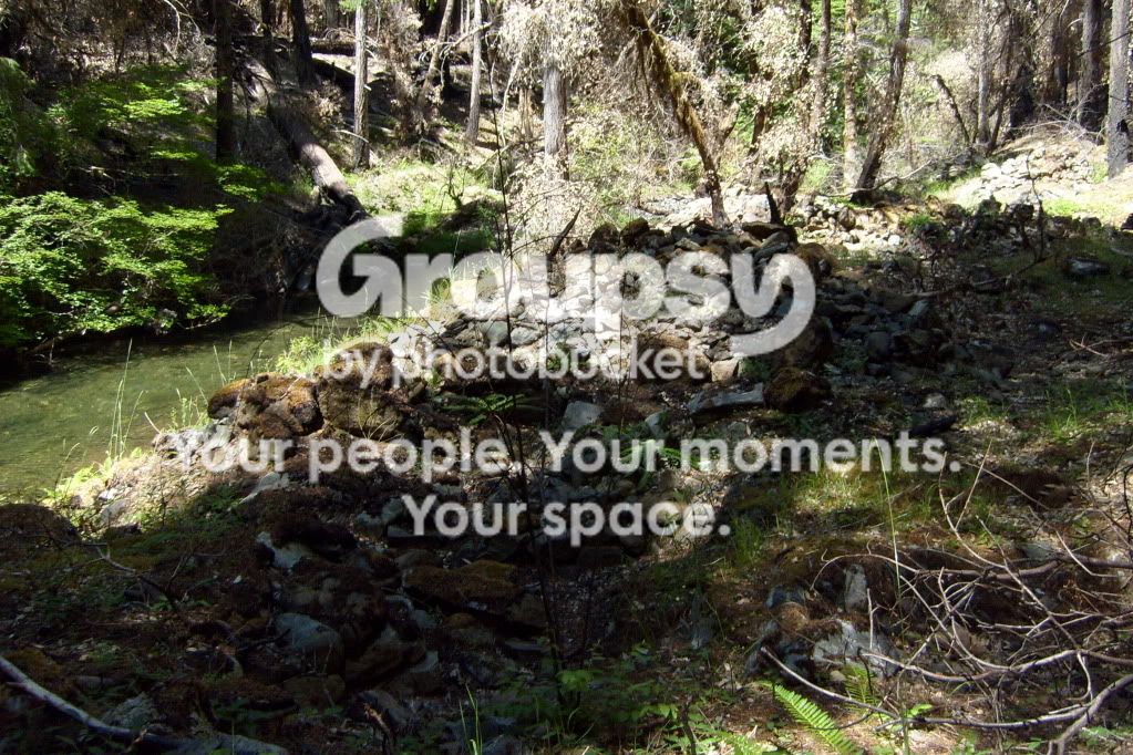 S6300463.jpg