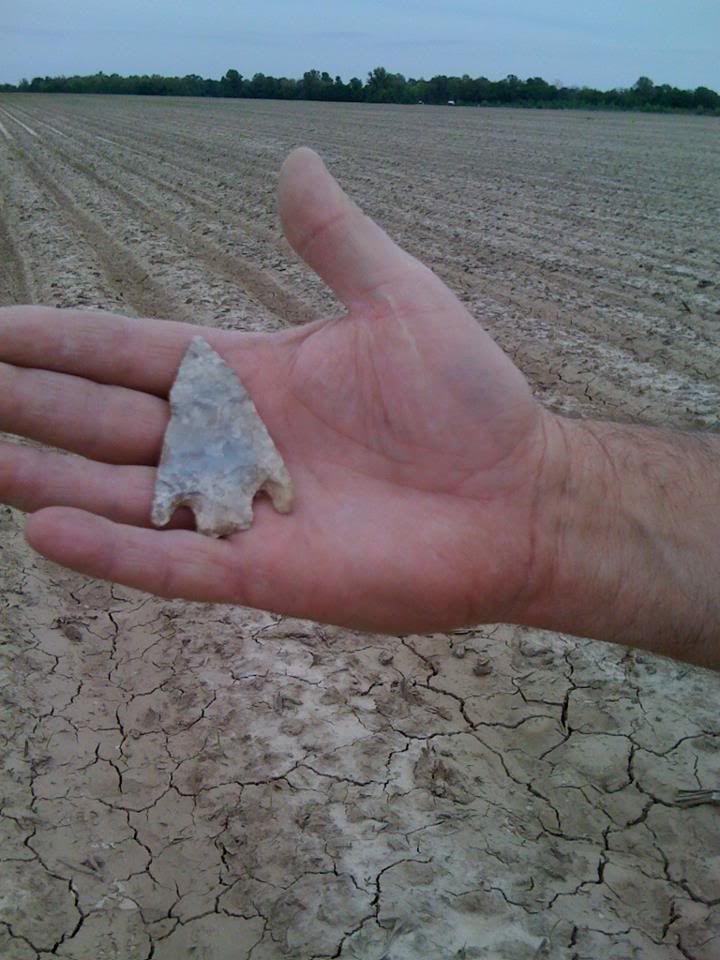 arrowhead2.jpg