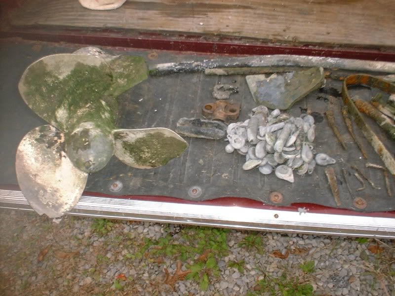 92210beachfinds1prop.jpg