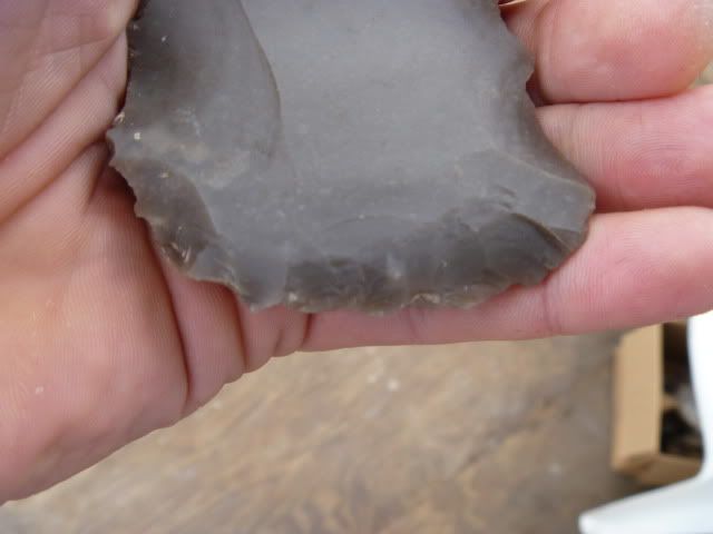 P1010050.jpg