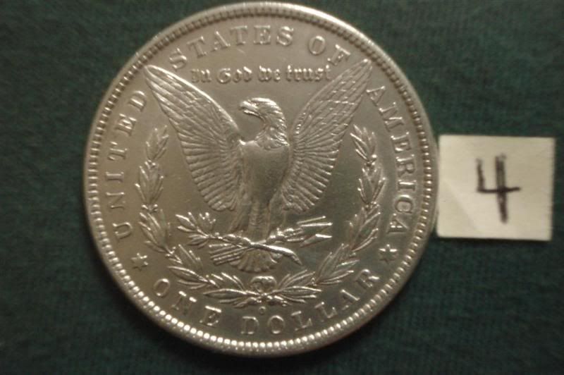 SilverDollars04RLarge.jpg