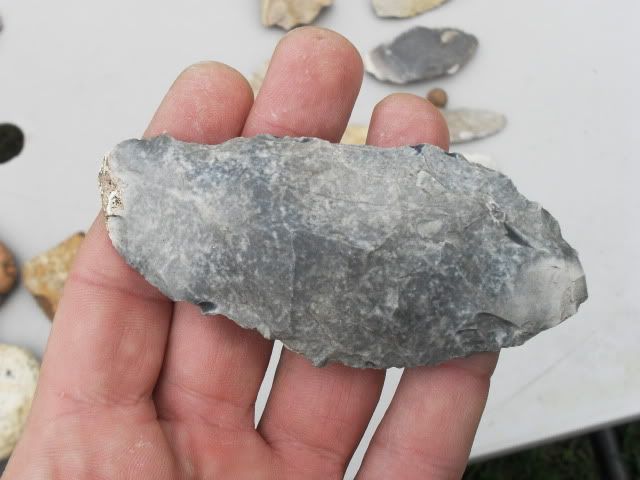 SDC11477.jpg