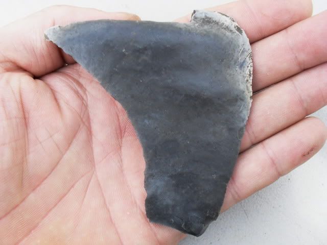 SDC11365.jpg