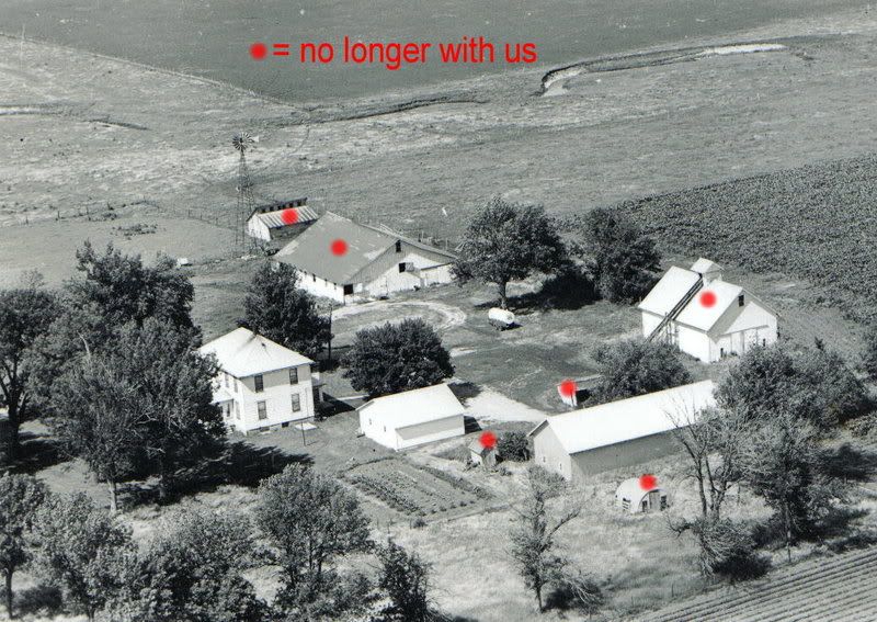 editedpicarial.jpg