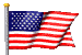metal_detector_flag.gif