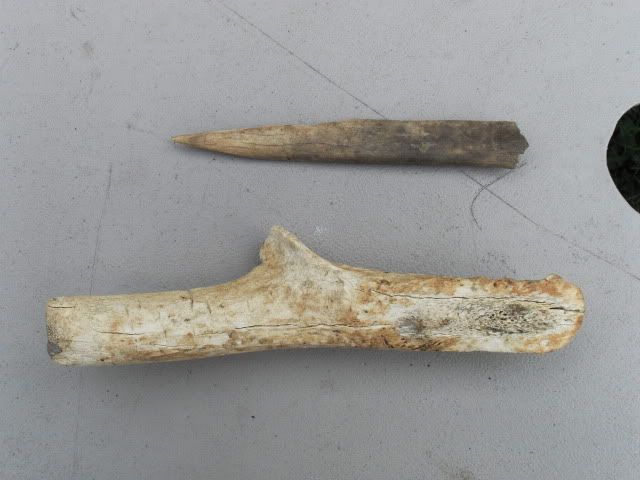 SDC11335.jpg
