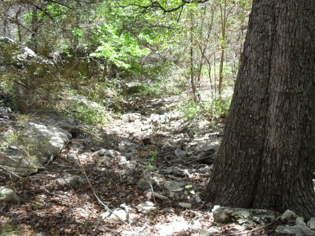 SDC17489-1.jpg