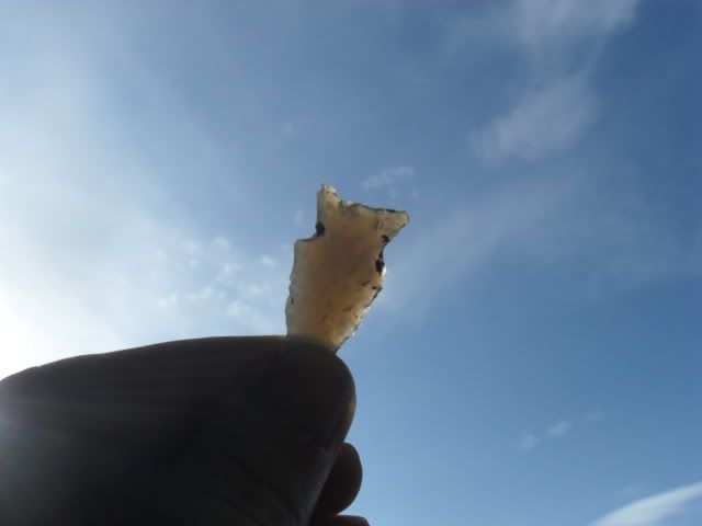SDC10032.jpg