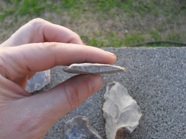 SDC10025.jpg