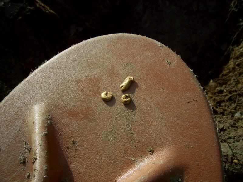 tobinsgold3.jpg