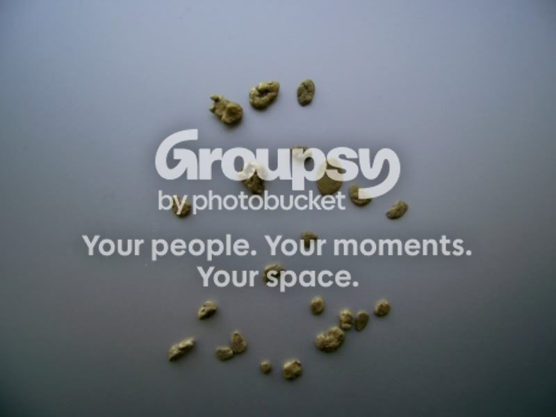 gibbstonGold.jpg