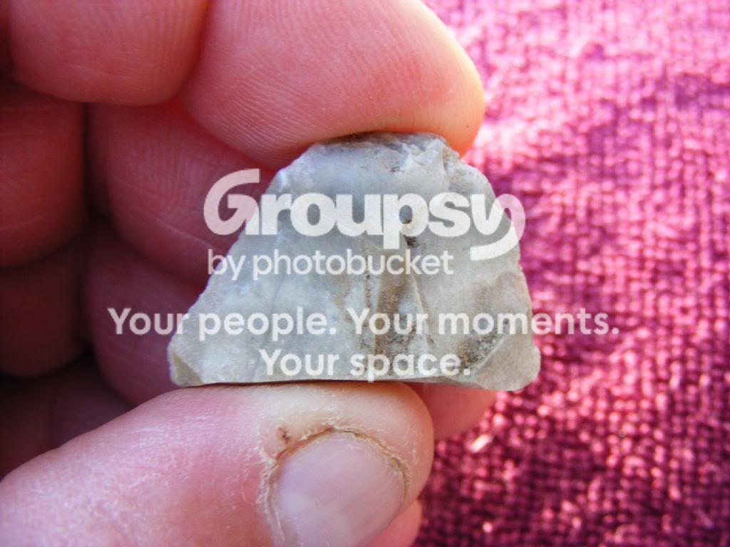 2009_0805button0015.jpg