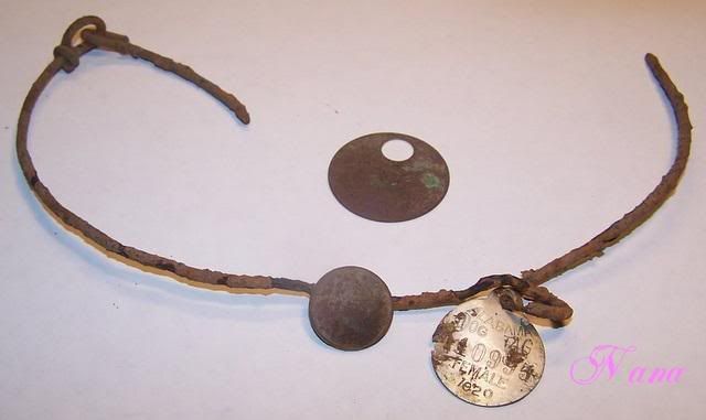 100_9207.jpg