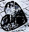 image0-24-2.jpg