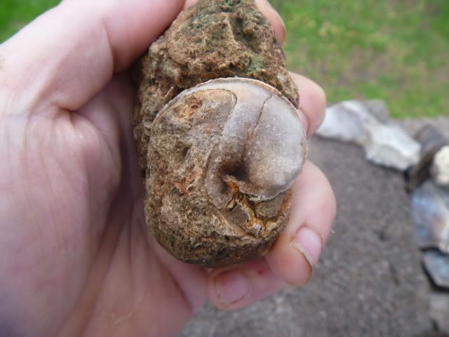 P1010600.jpg