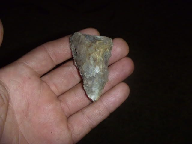 P1010646.jpg