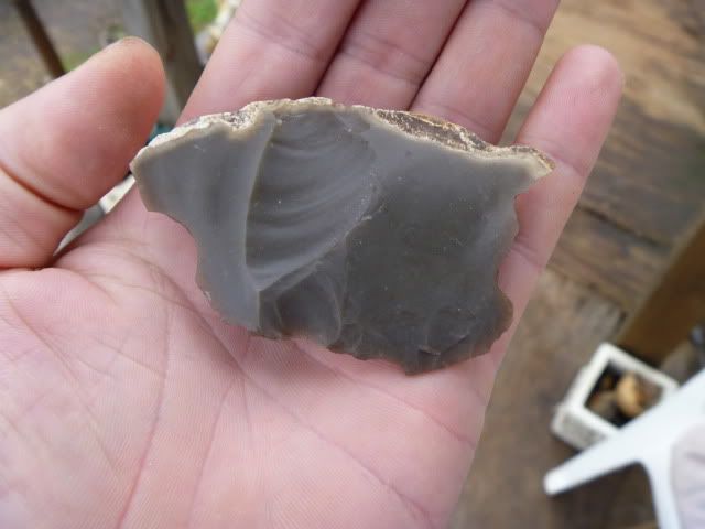 P1010045.jpg