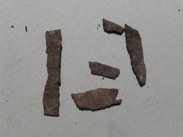 SDC10759.jpg
