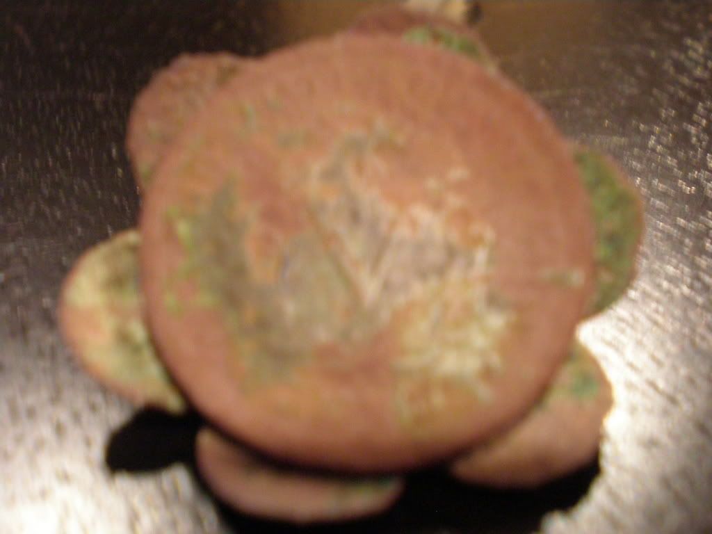 PB290420.jpg
