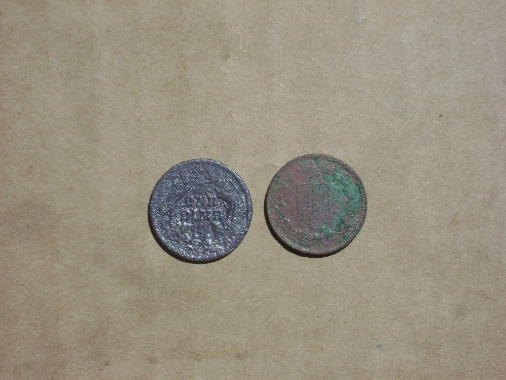 DSC03355.jpg