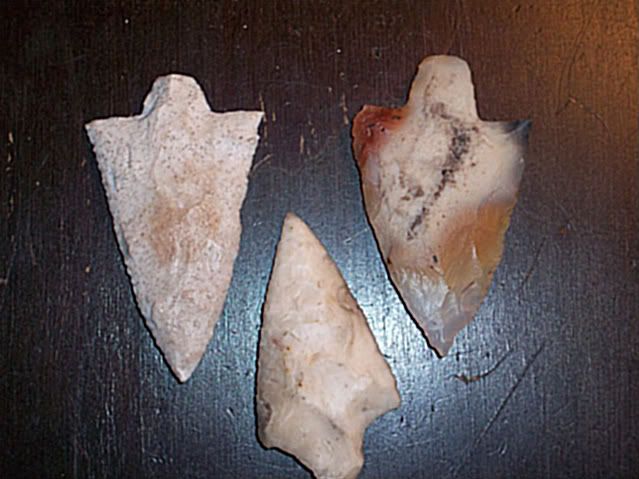 100_2656-1.jpg