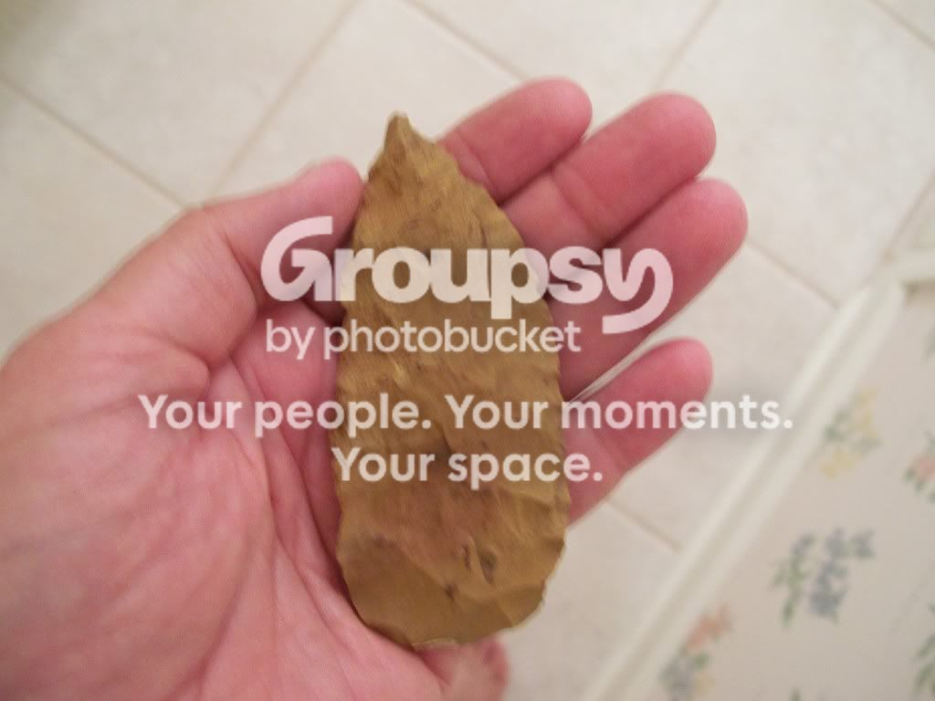 100_4633.jpg