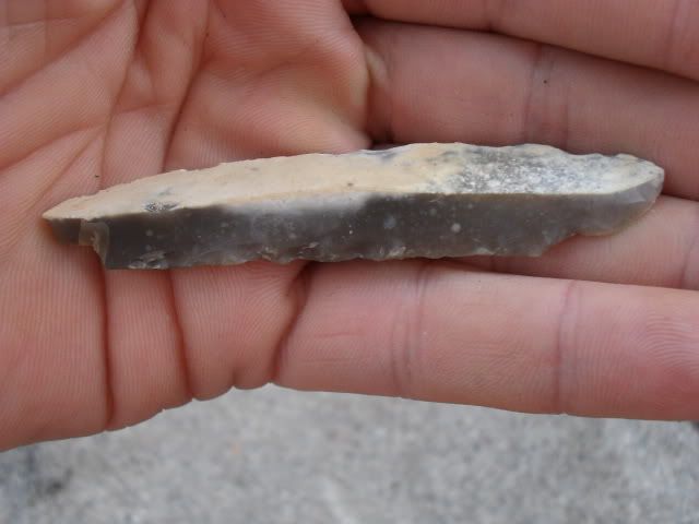 SDC10118.jpg