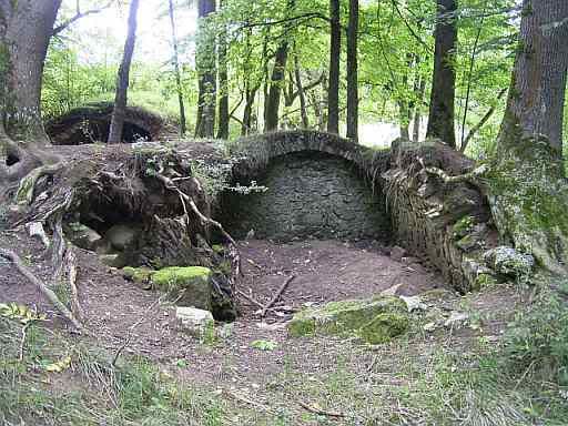 10Sep08cellar2.jpg