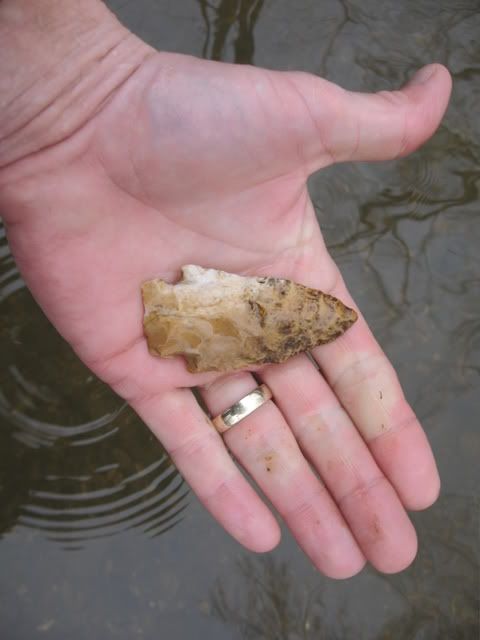 arrowhead02-18-2009002.jpg