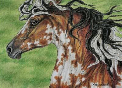 Aceoe-mailWildPinto.jpg