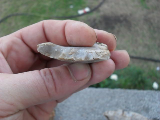 SDC10075.jpg