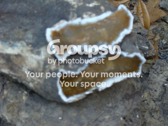 DSC04507.jpg