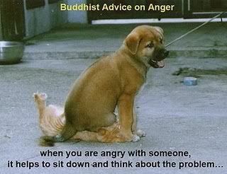 buddhist-advice-on-anger2.jpg