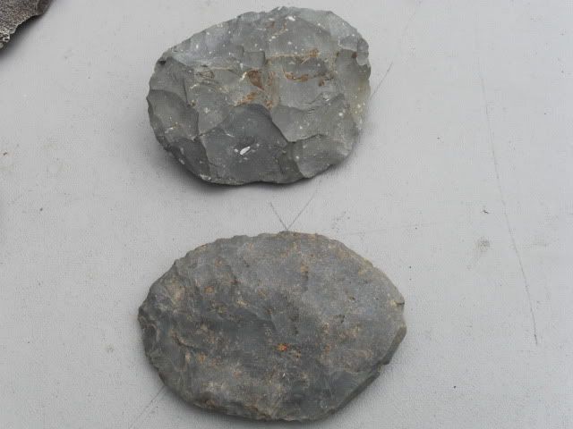 SDC11338.jpg