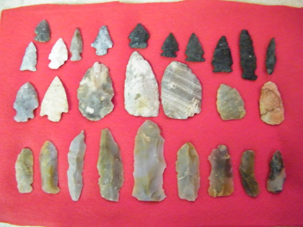 DSCF2695.jpg