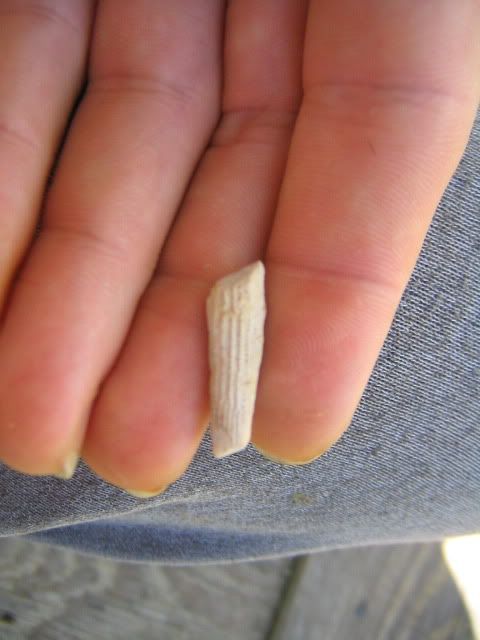 IMG_4923.jpg