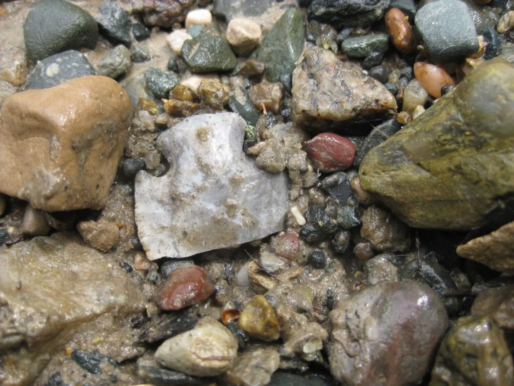 IMG_3034.jpg