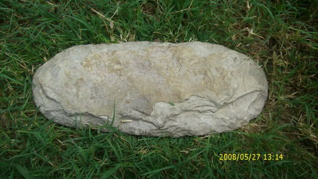 DSCI0888.jpg