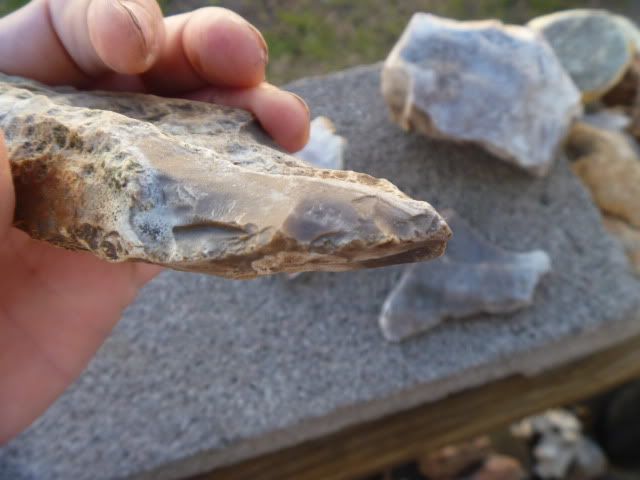 P1010157.jpg
