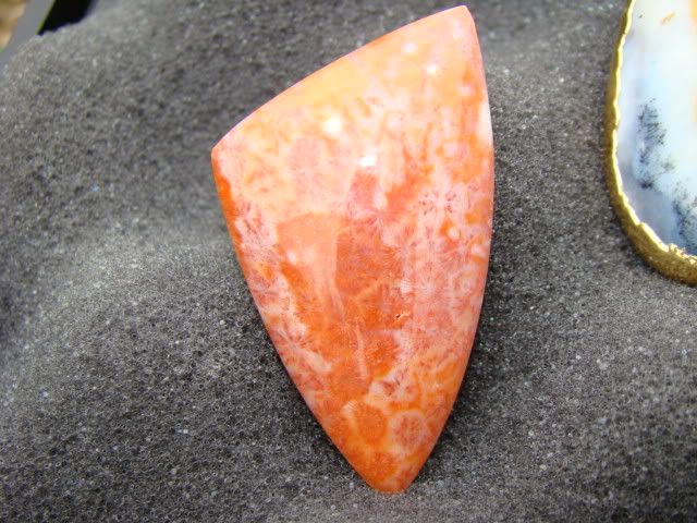 DSC05776.jpg