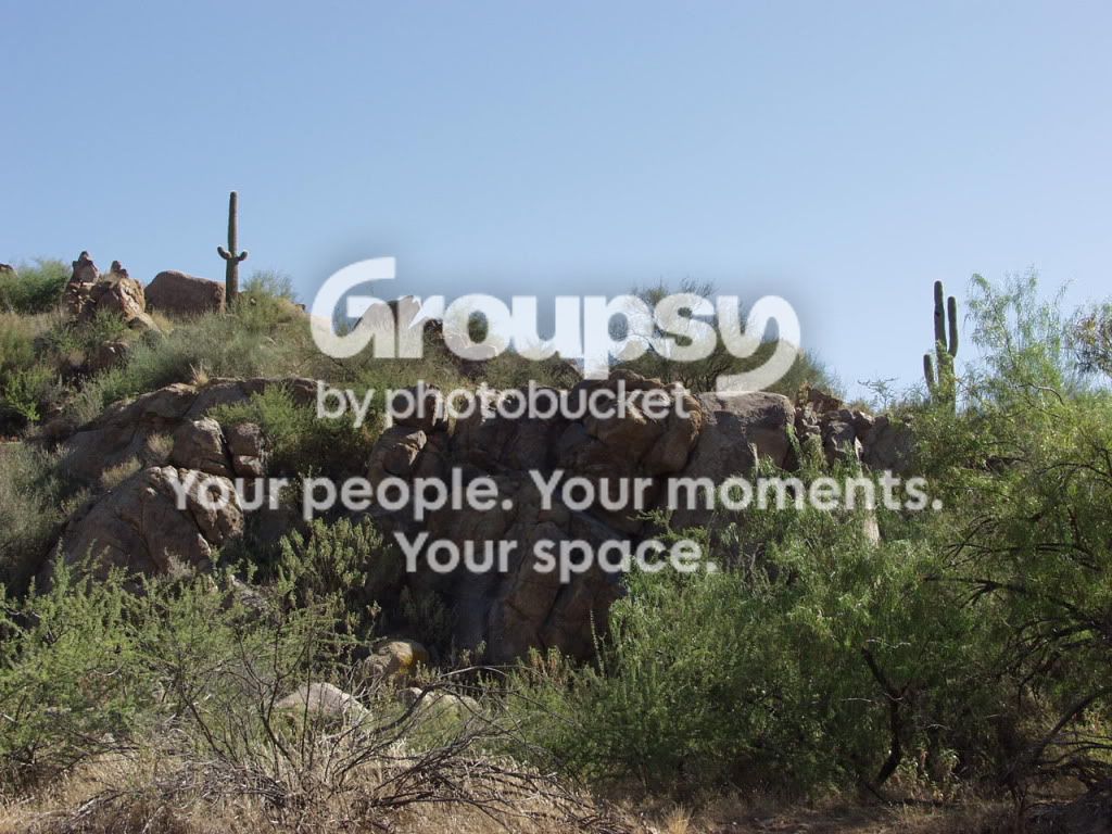 P9290020-1.jpg