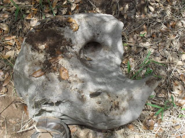 SDC17604.jpg