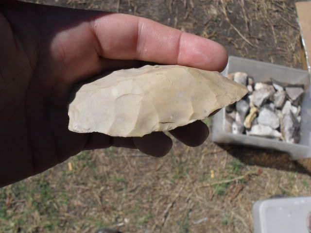 SDC10982.jpg