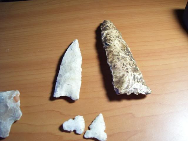 points5807003-1.jpg