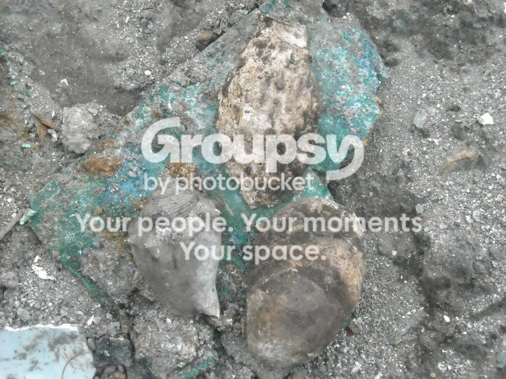 DSCN1329.jpg