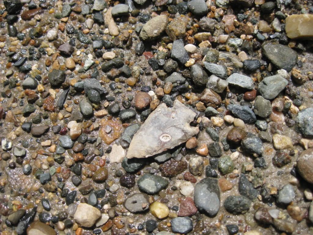 IMG_2324.jpg